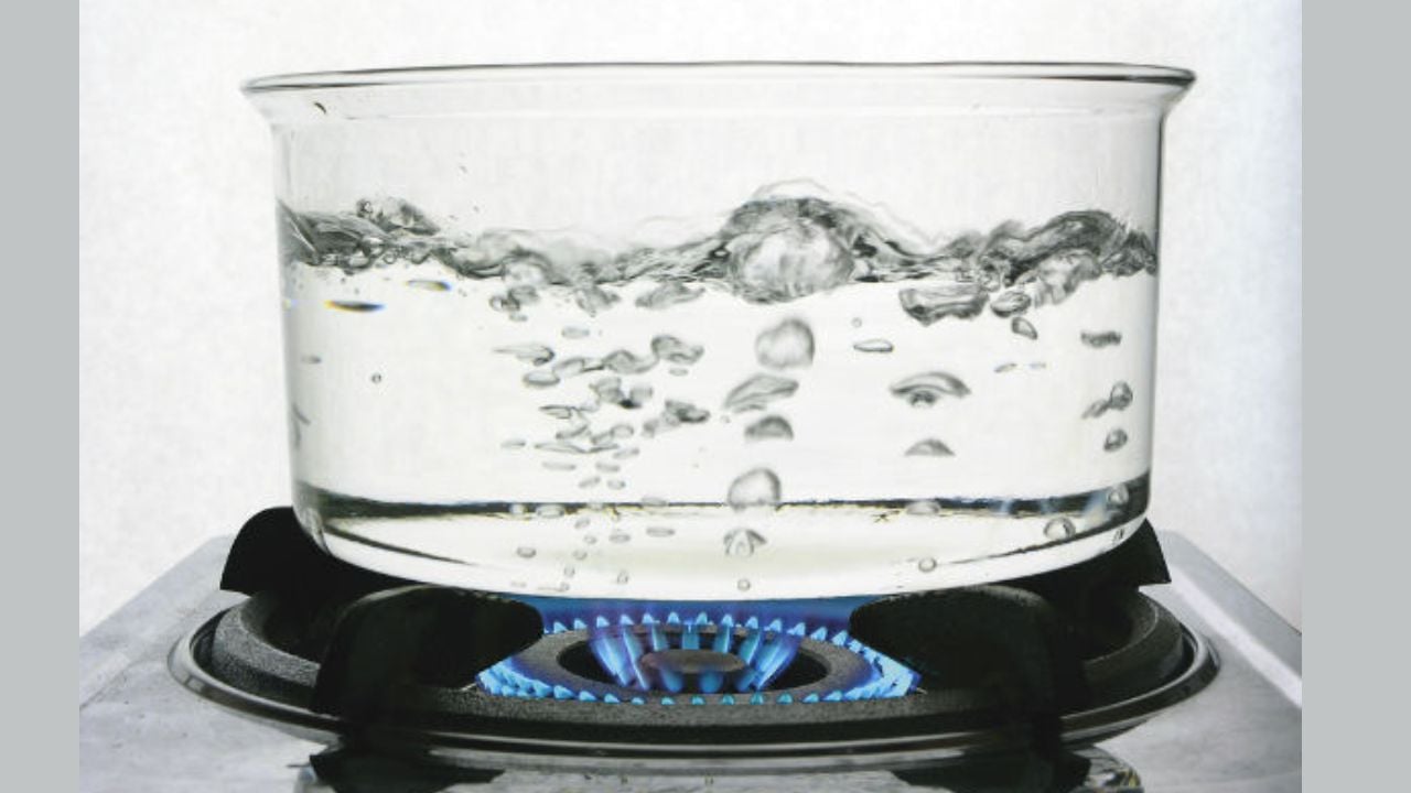 আড়াইহাজারে বউকে গরম পানি দিয়ে হত্যার চেষ্টা, স্বামী আটক