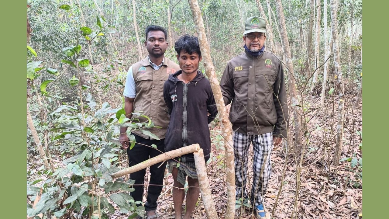উখিয়ায় সরকারি বনে গাছ কাটার সময় দুর্বৃত্তদের গুলি, রোহিঙ্গা আটক