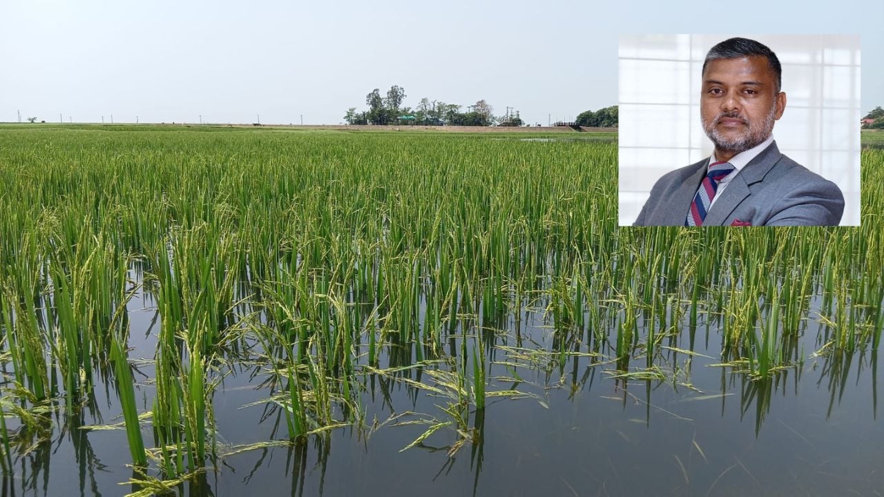 হেলিকপ্টারে হাওর ঘুরে জলাবদ্ধতা নিরসনে পদক্ষেপ নিন