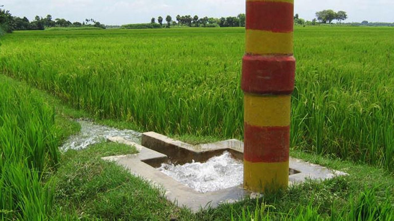 রাজশাহী-১ আসনের ভোটারদের ক্ষোভ চরমে