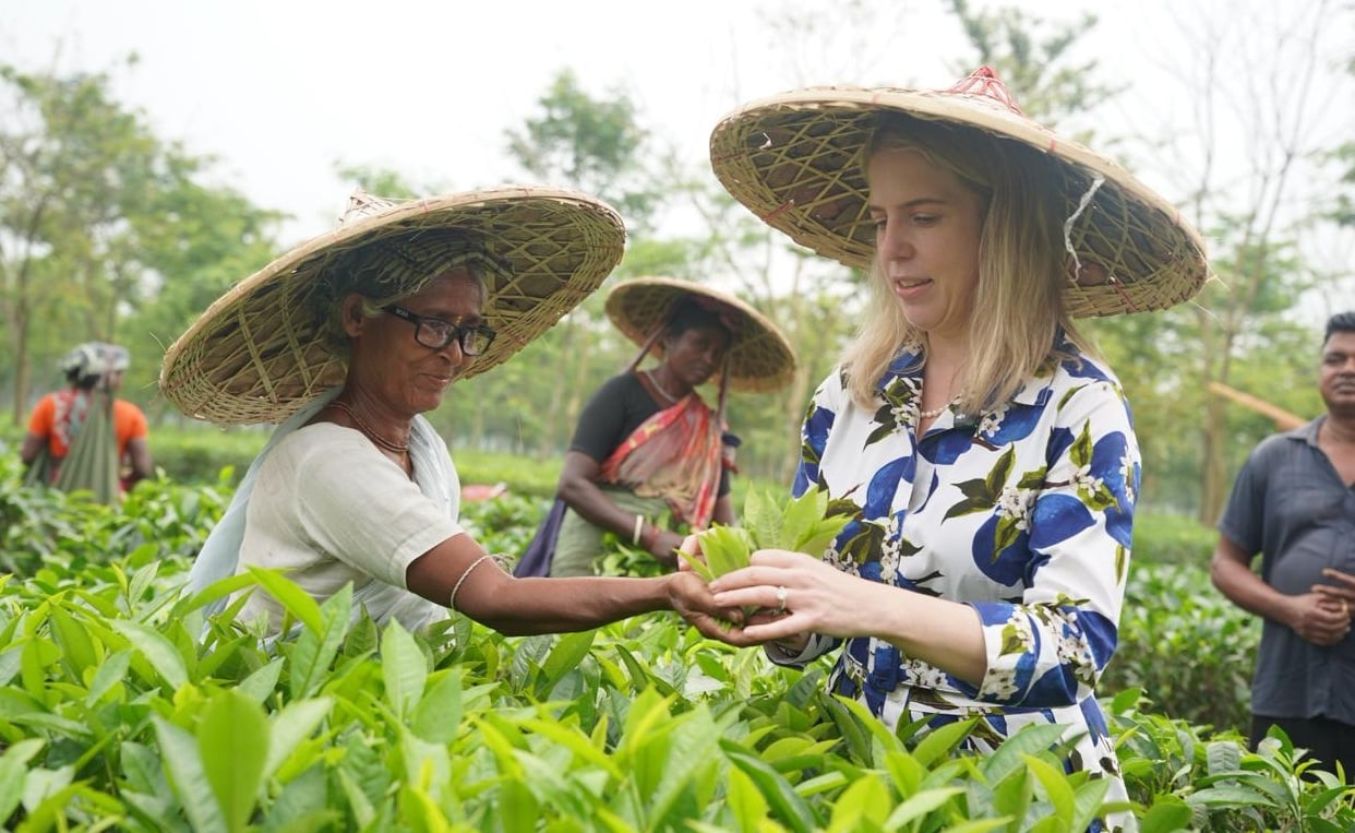 চা শ্রমিকদের চক্ষুসেবা বাড়াবে অরবিস ইন্টান্যাশনাল
