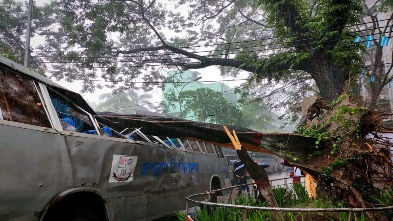 বৈরী আবহাওয়ায় জবিতে বাসের ওপর ভেঙে পড়ল গাছ
