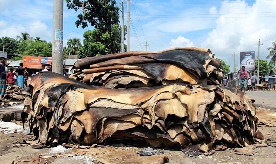 ন্যায্যমূল্যের অভাবে রাস্তার পাশে পড়ে আছে অবিক্রীত চামড়া, ব্যবসায়ীদের দীর্ঘশ্বাস