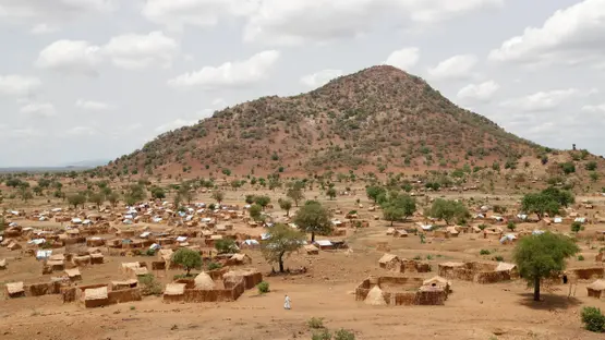 সুদানে ড্রোন হামলায় নিহত ৮