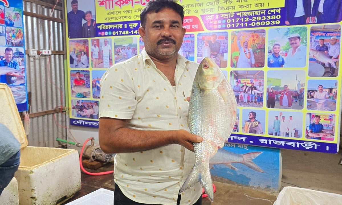 এক ইলিশের দাম ১৪ হাজার ৫০০ টাকা