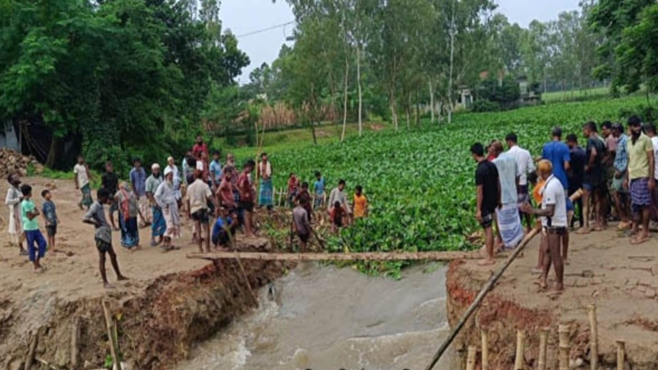 উজানের পানি থেকে ফসল রক্ষায় রাস্তা কাটলেন কৃষকরা