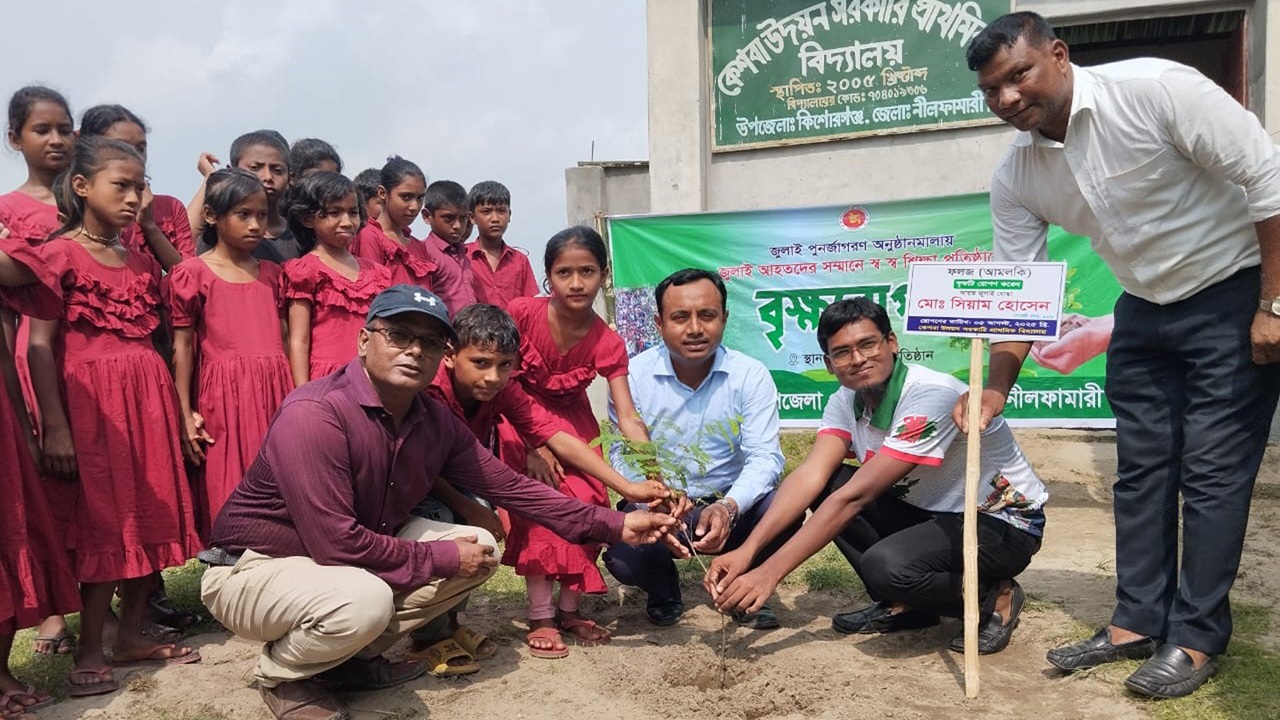 জুলাই আহতদের সম্মানে ১৭৫ স্কুলে একযোগে গাছের চারা রোপণ