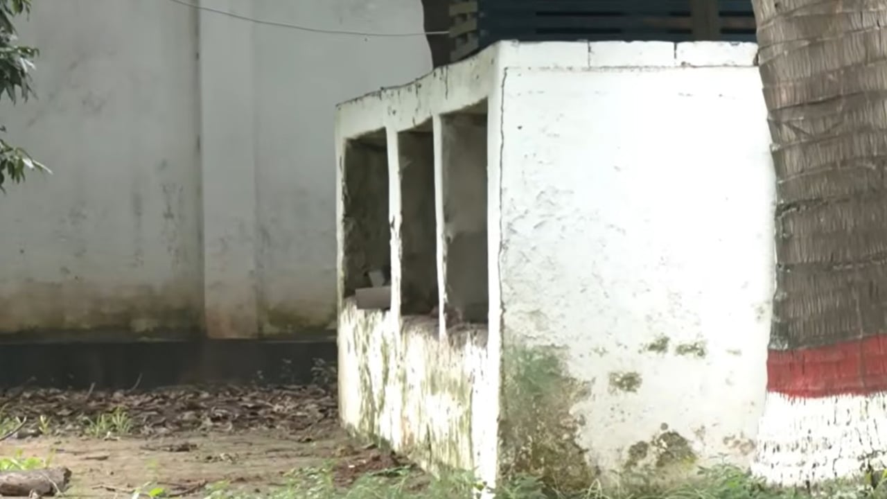 ছবি: ভিডিও থেকে নেওয়া