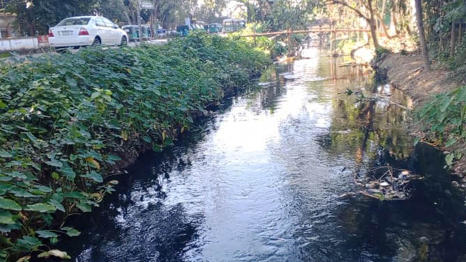 ভারতের বিষাক্ত পানি ঢুকছে বাংলাদেশে