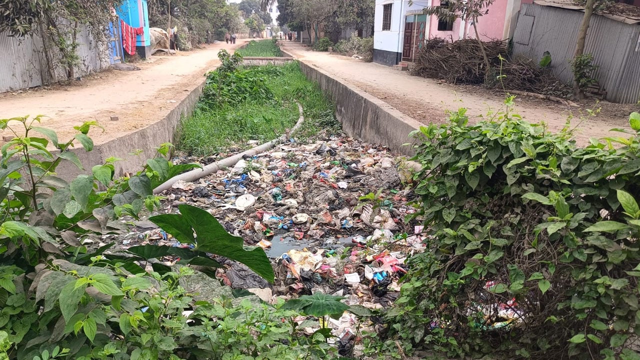 বর্জ্যে বিলীন নবীনগরের ‘আলীয়াবাদ খাল’