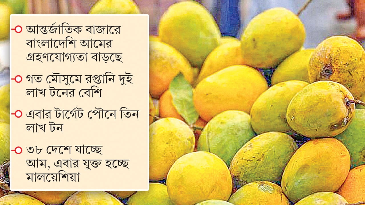 আম উৎপাদন ও রপ্তানিতে নতুন রেকর্ডের প্রত্যাশা