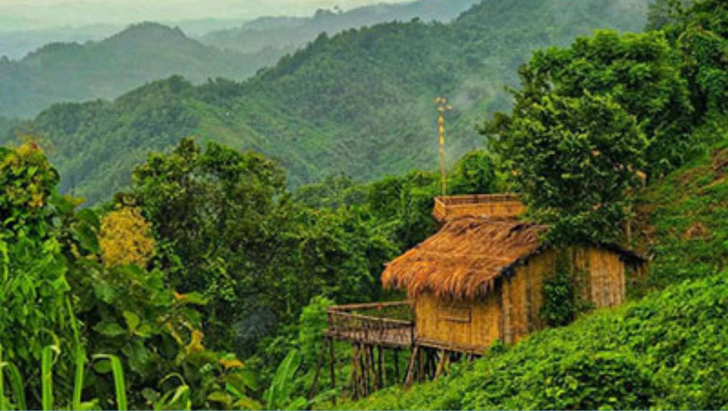 বান্দরবানে ৬ রাবার শ্রমিককে অপহরণ