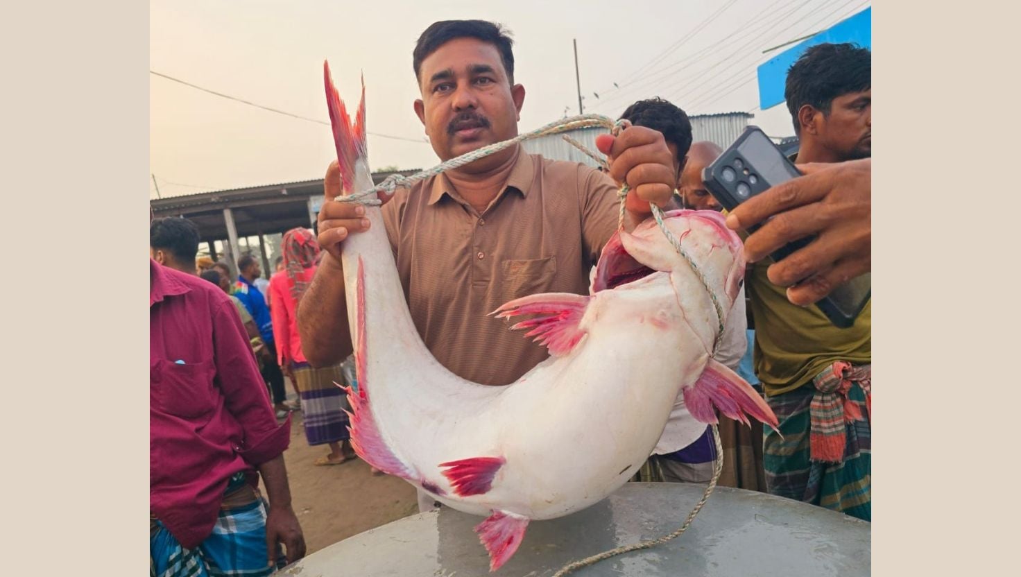২৫ কেজির পাঙাশ বিক্রি হলো সাড়ে ৫২ হাজার টাকায়