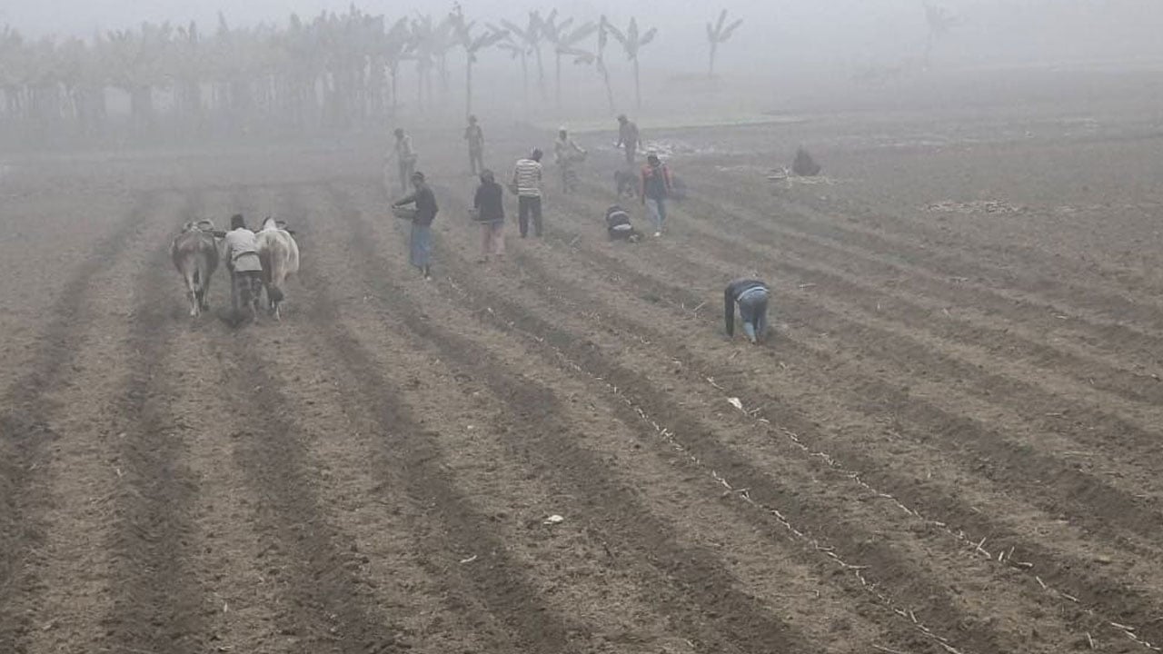 চুয়াডাঙ্গায় শৈত্যপ্রবাহে বিপর্যস্ত জনজীবন