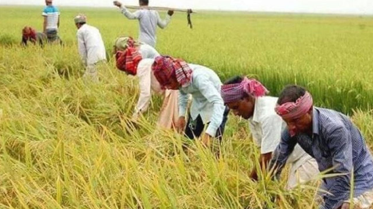 সুনামগঞ্জে আকস্মিক বন্যার পুর্ভাবাস, দুশ্চিন্তায় কৃষকরা