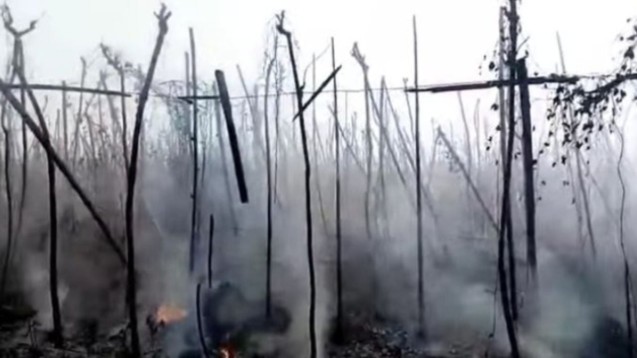 ঝিনাইদ‌হে পানবরজে অগ্নিকাণ্ডে ৪ কৃষকের ৬ লাখ টাকা ক্ষতি