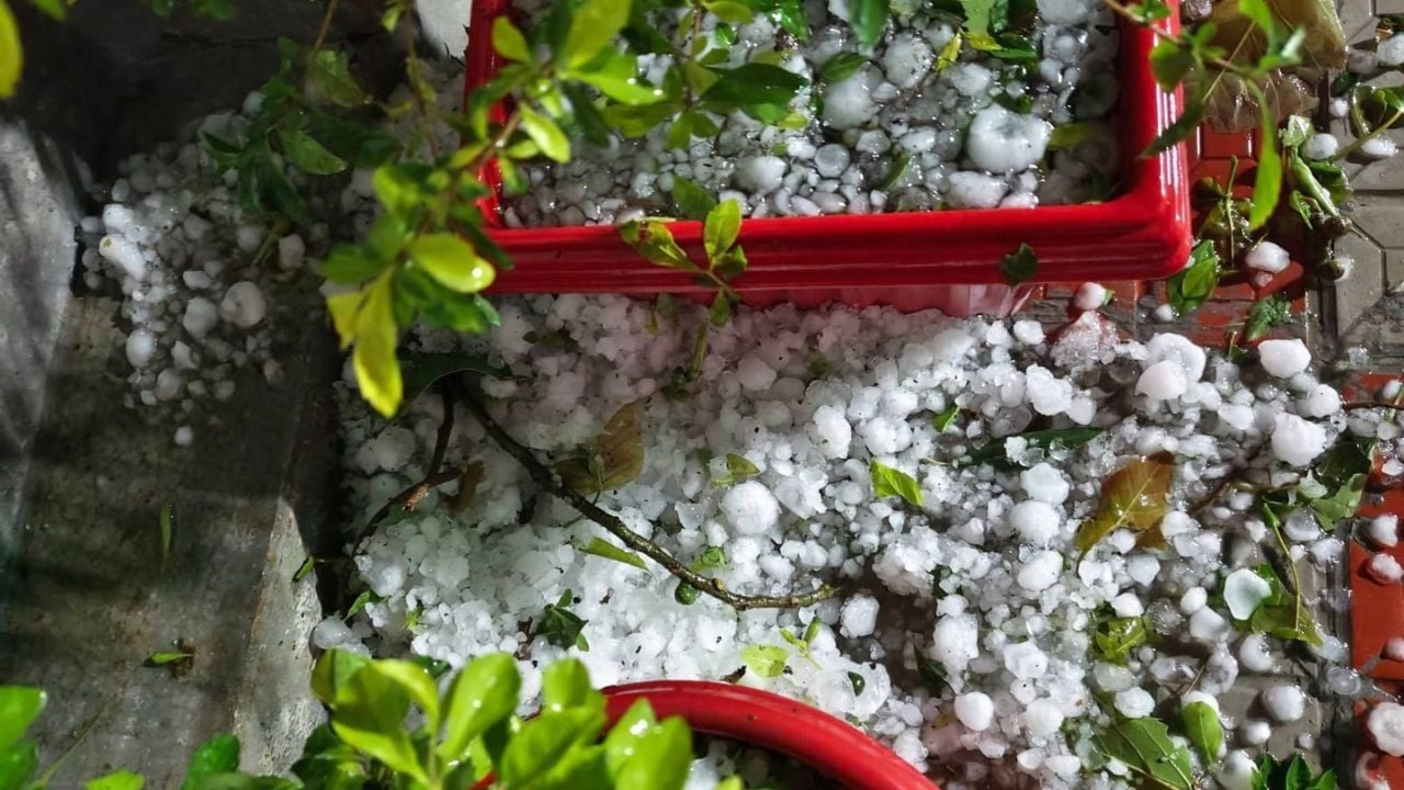 নীলফামারীতে মধ্যরাতে শিলাবৃষ্টি, ফসলের ব্যাপক ক্ষতি