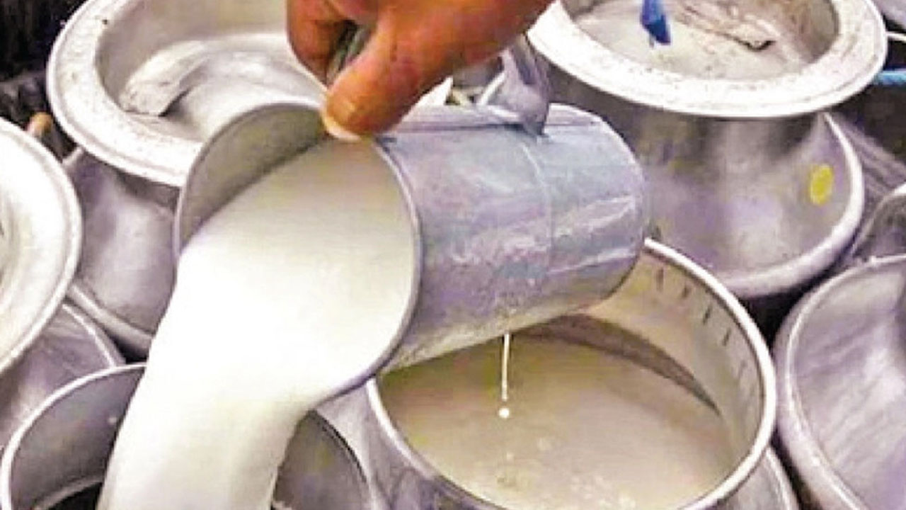 দেশে দুধের উৎপাদন বাড়াতে নতুন প্রকল্প