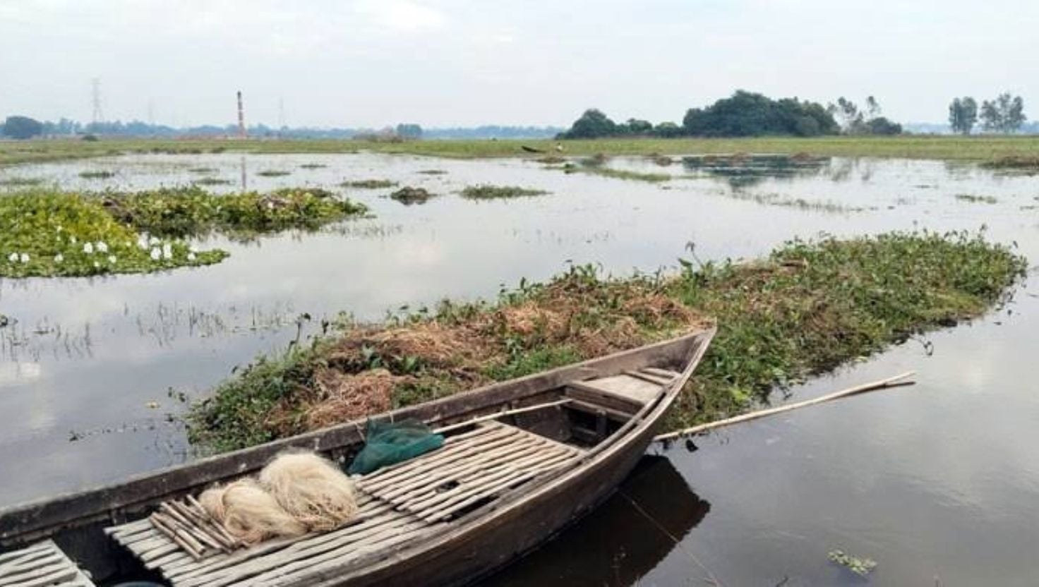 ধামরাইয়ে ৫ হাজার একর ফসলি জমিতে জলাবদ্ধতা