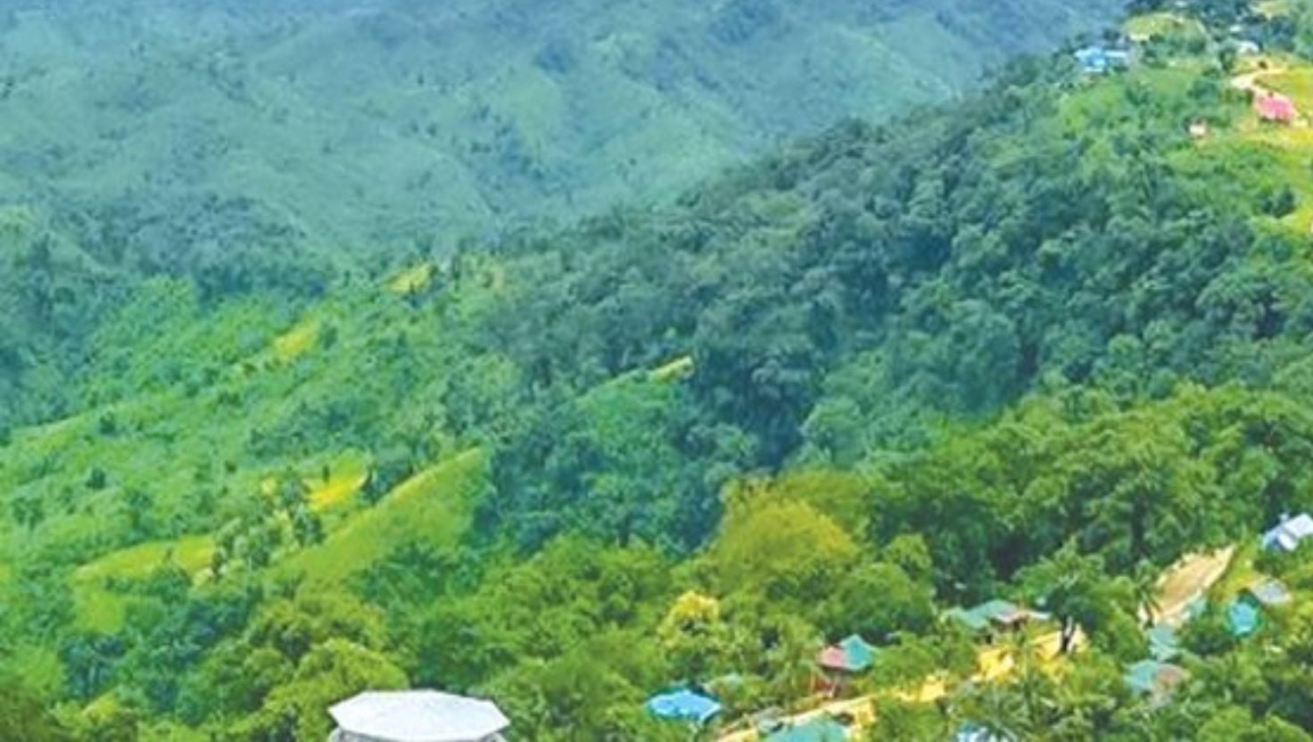 ‎বন্য শূকরের আক্রমণে গুরুতর আহত পাহাড়ি নারী
