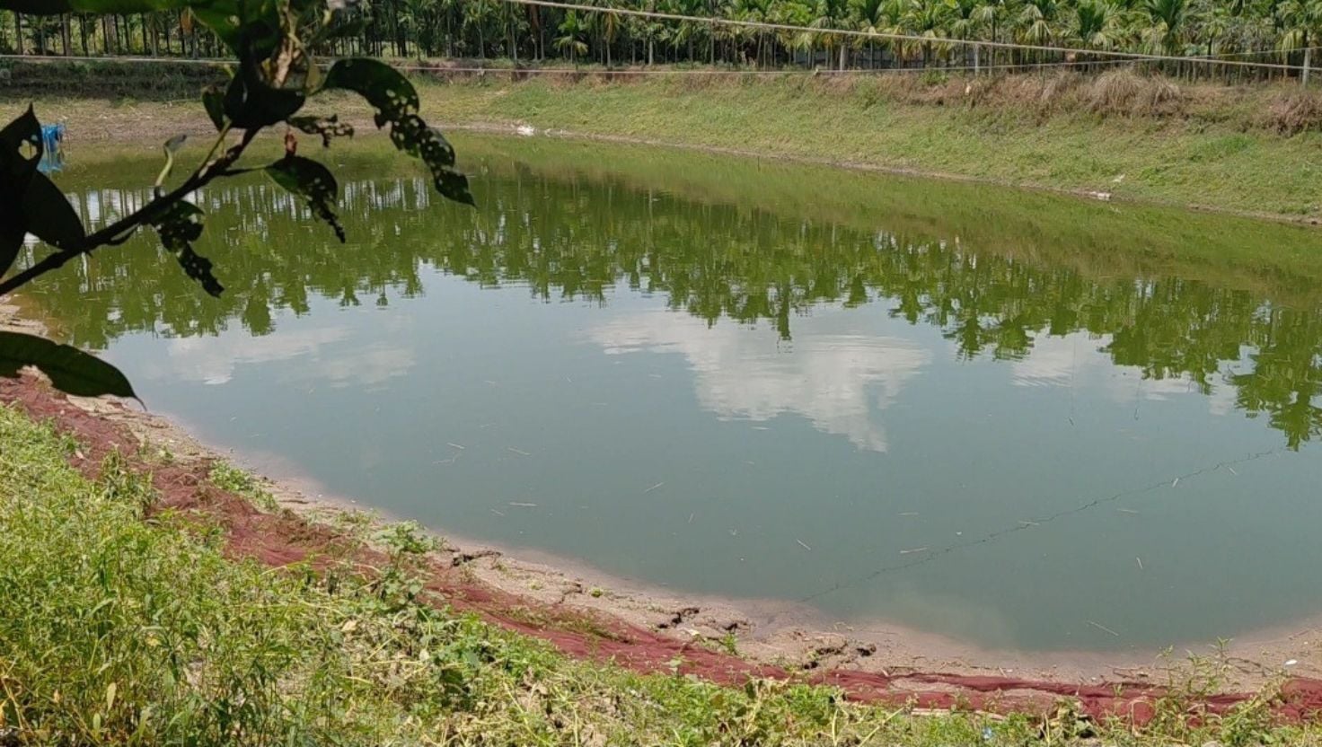 তেঁতুলিয়ার শালবাহান তেলের খনির অজানা রহস্য, নানা প্রশ্ন
