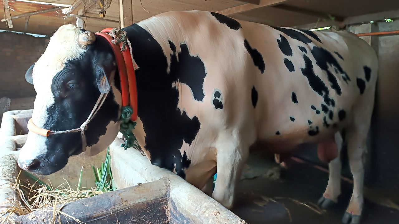 amar desh - 2026-05-18T142334.132