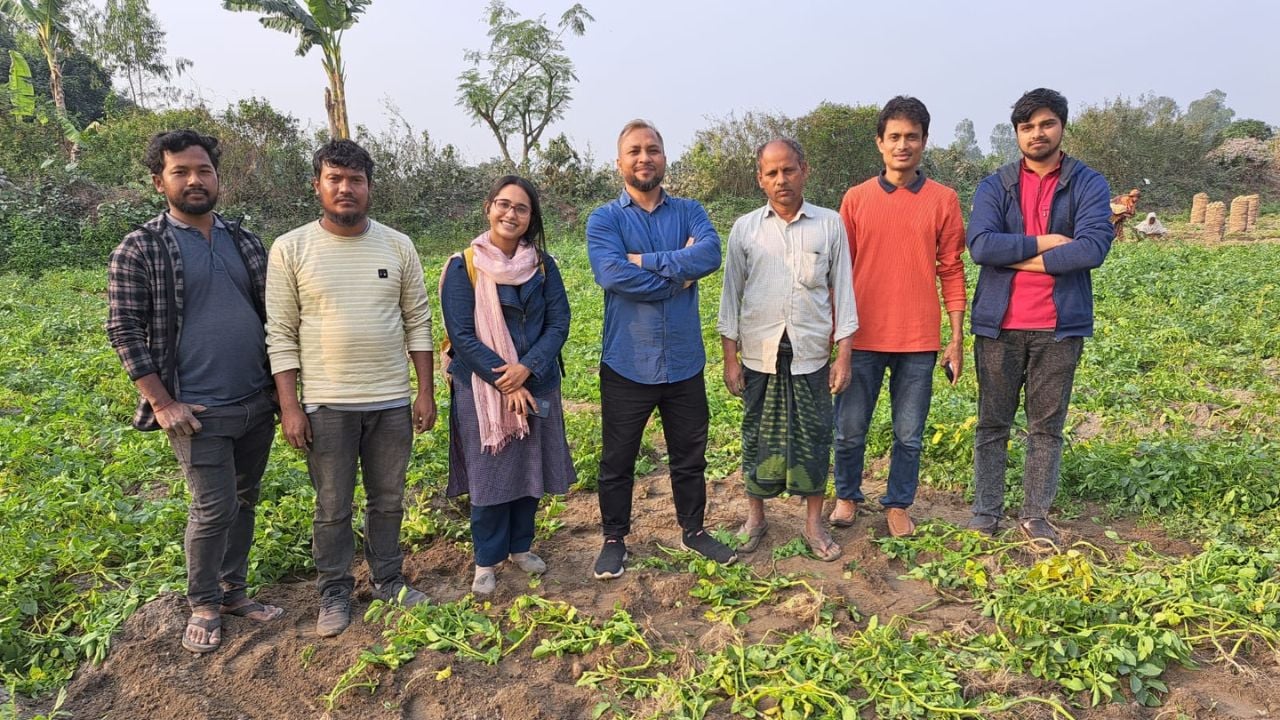 ব্যাকটেরিয়ায় আলু চাষে বিপ্লব, অর্ধেক সারেই ভালো ফলন
