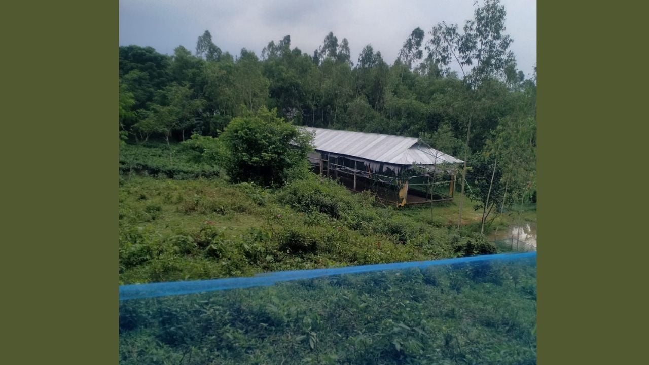 হবিগঞ্জে ফিনলে চা বাগান কর্তৃপক্ষের বিরুদ্ধে ভূমি দখলের অভিযোগ