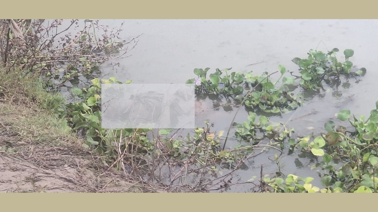 কুষ্টিয়ার খোকসায় গড়াই নদী থেকে অজ্ঞাত লাশ উদ্ধার