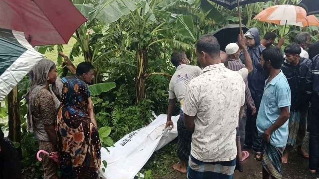 পীরগঞ্জে চলন্ত অটোরিকশার ওপর গাছ পড়ে চালকের মৃত্যু