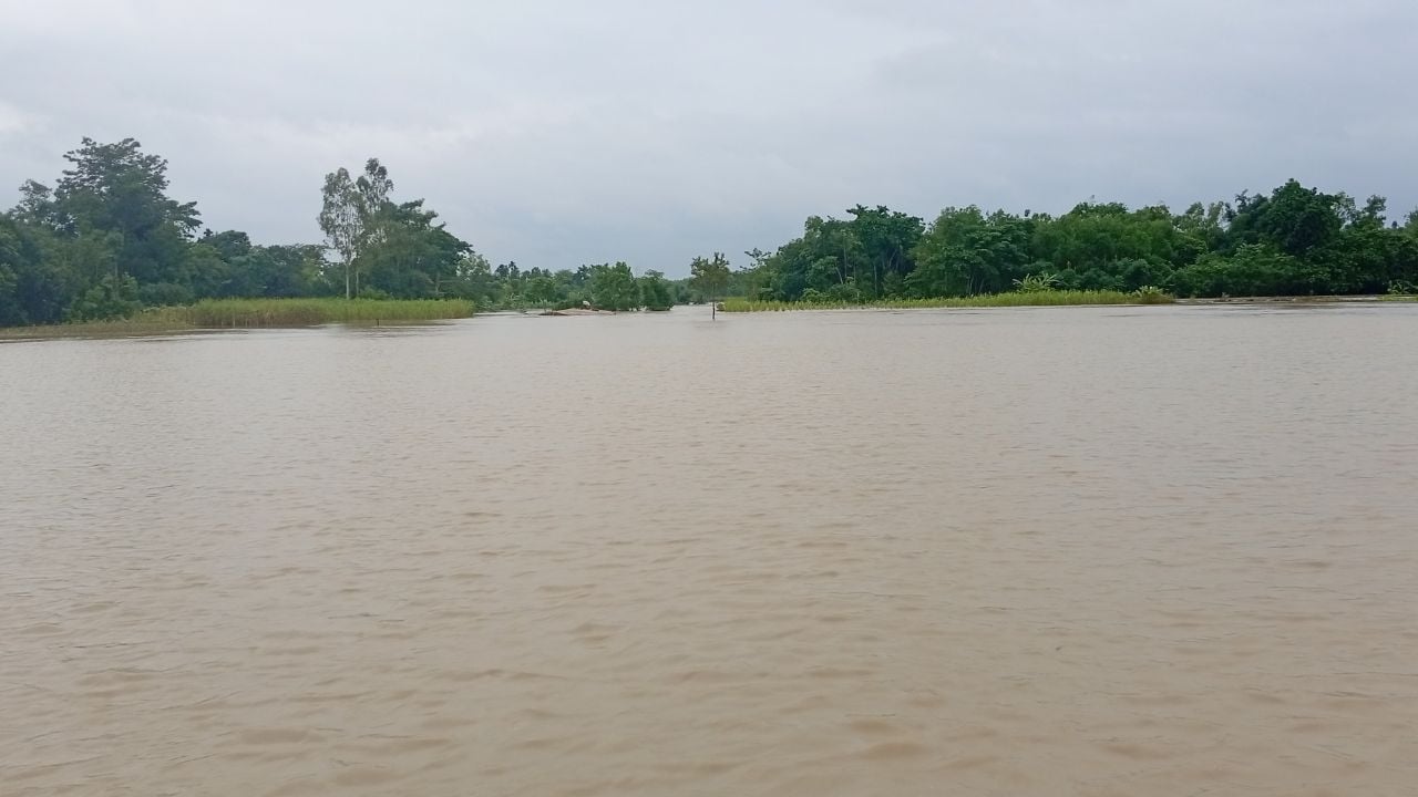 মৌলভীবাজারে ধলাই নদীর ভাঙন: পানিবন্দি ১০ হাজার মানুষ