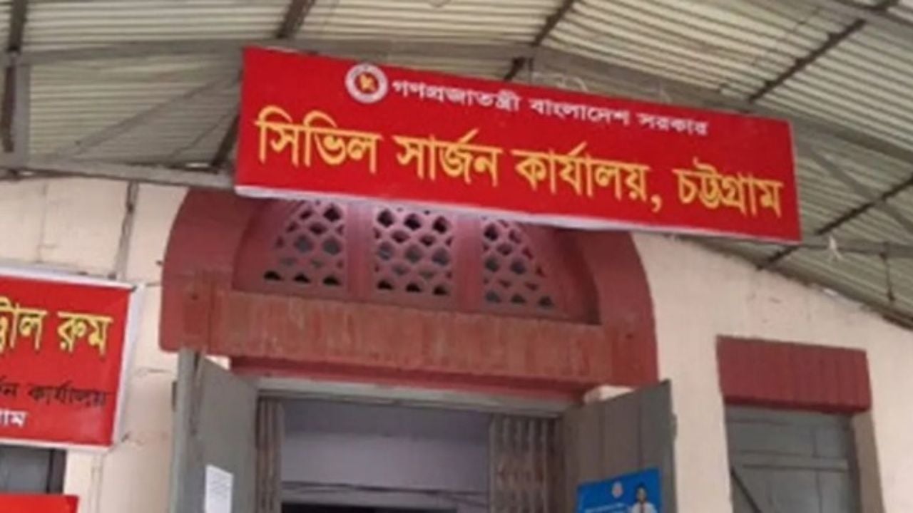 চট্টগ্রামে বন্যায় সাপের উপদ্রব বৃদ্ধি, এক সপ্তাহে কামড়ে আহত ৮৬