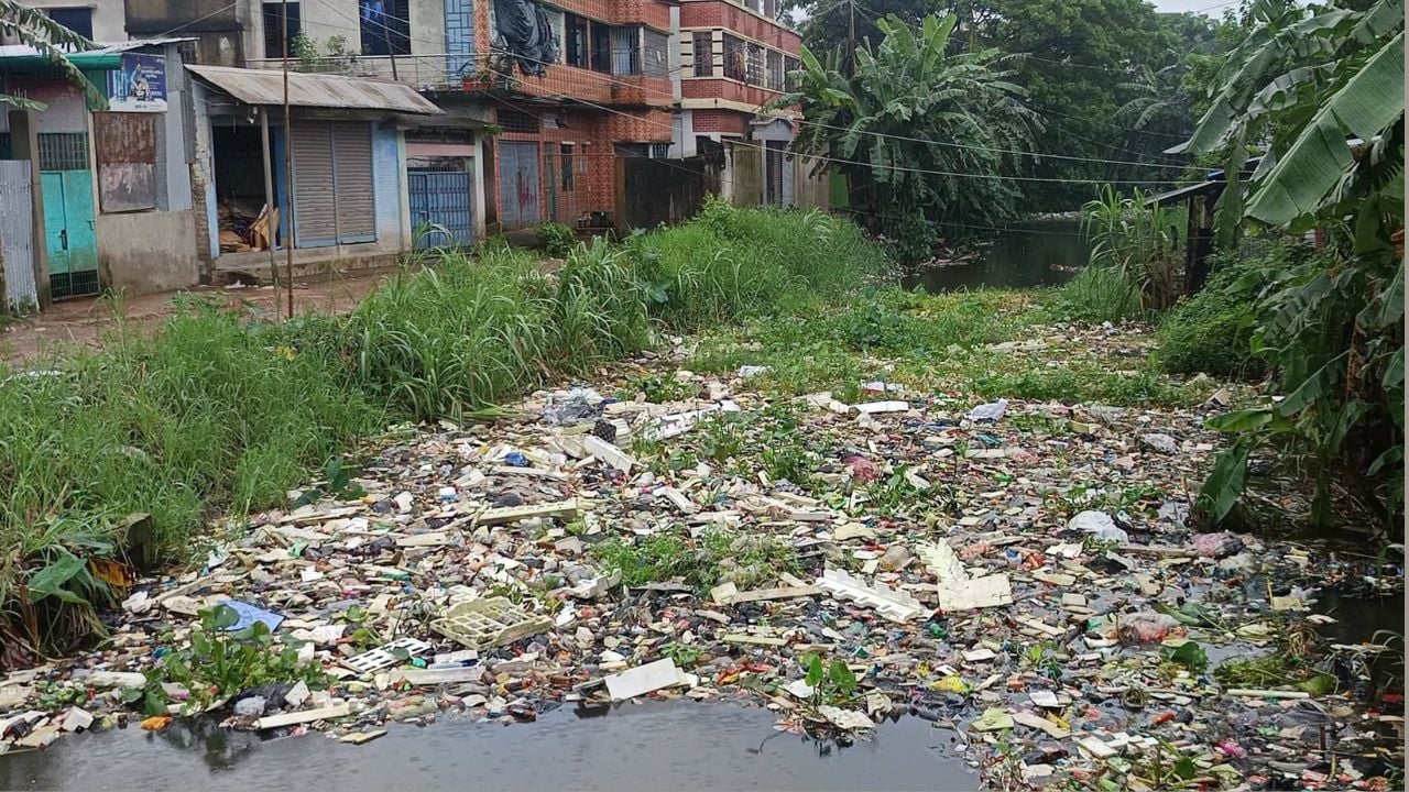 সোনাগাজীর ডাঙ্গী খাল যেন পৌরসভার ময়লার ভাগাড়