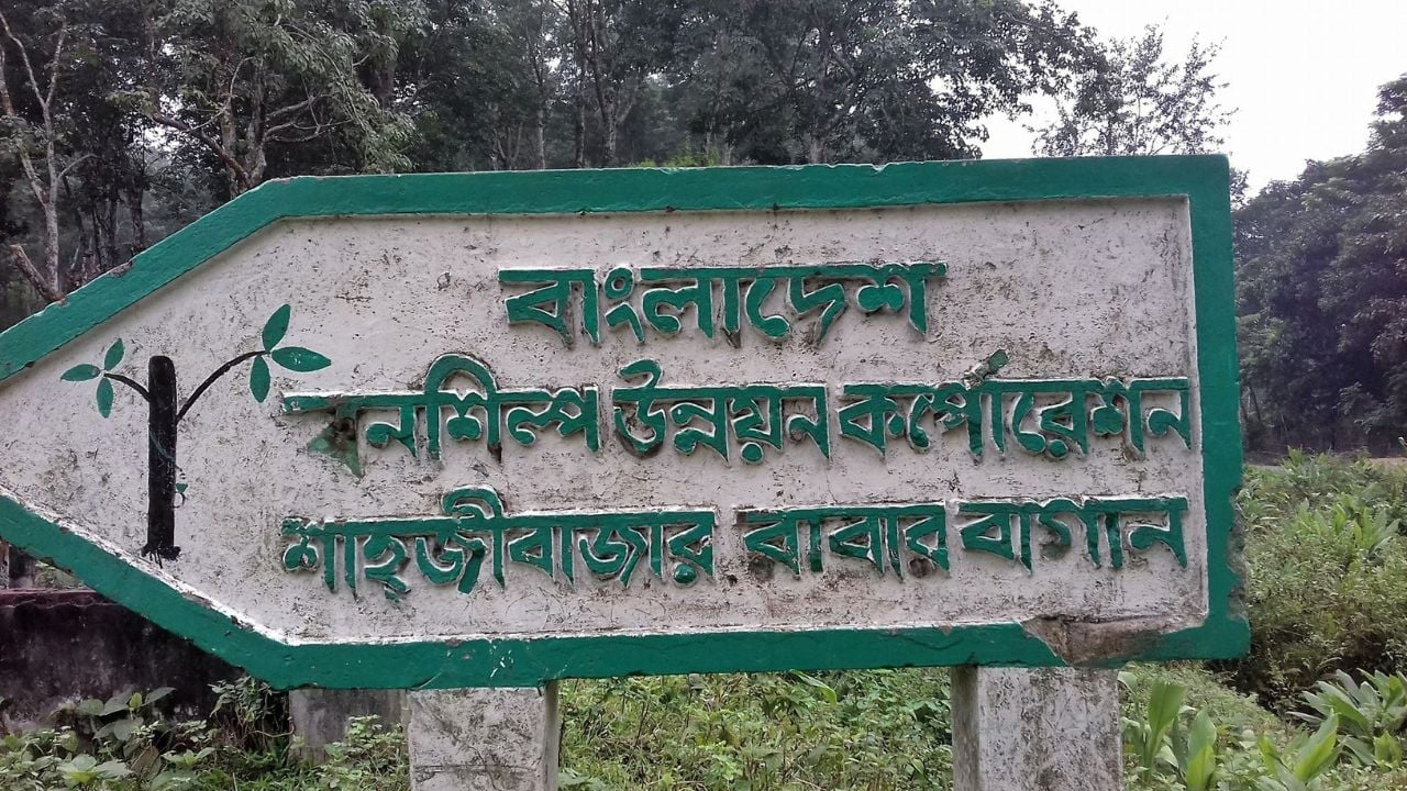 মাধবপুরে বালু উত্তোলনকারীদের হামলায় রাবার বাগানের ৪ কর্মকর্তা আহত