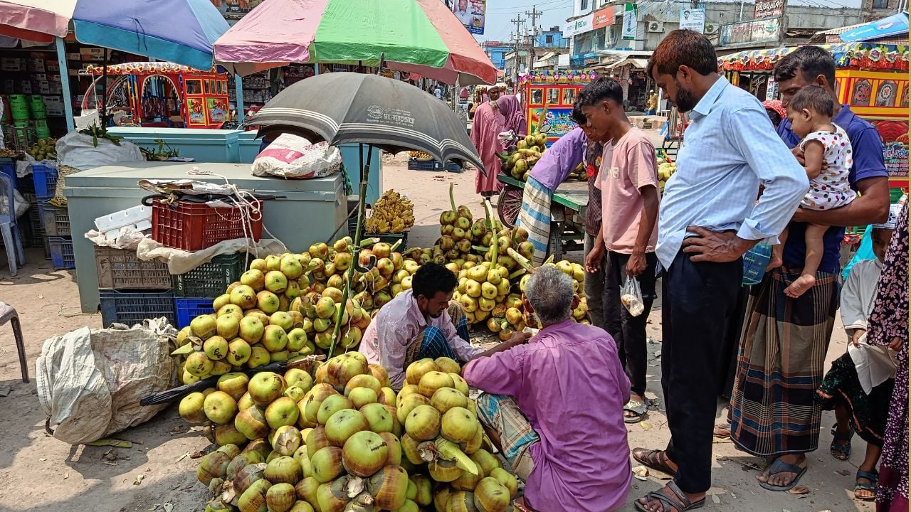 মাদারগঞ্জে জ্যৈষ্ঠের দাবদাহে বেড়েছে তালশাঁসের কদর