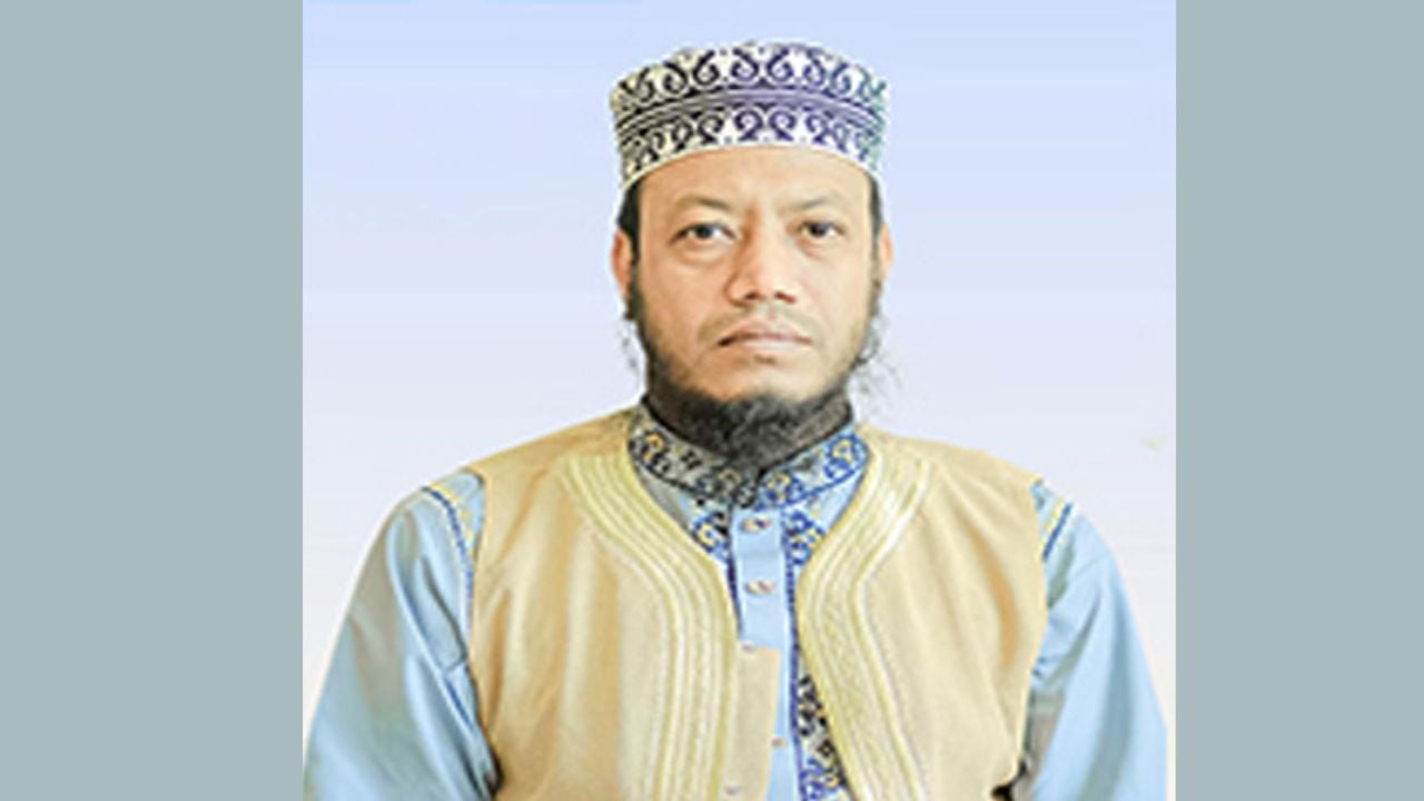 এমপি আমির হামজাকে যুবদল নেতার আইনি নোটিশ