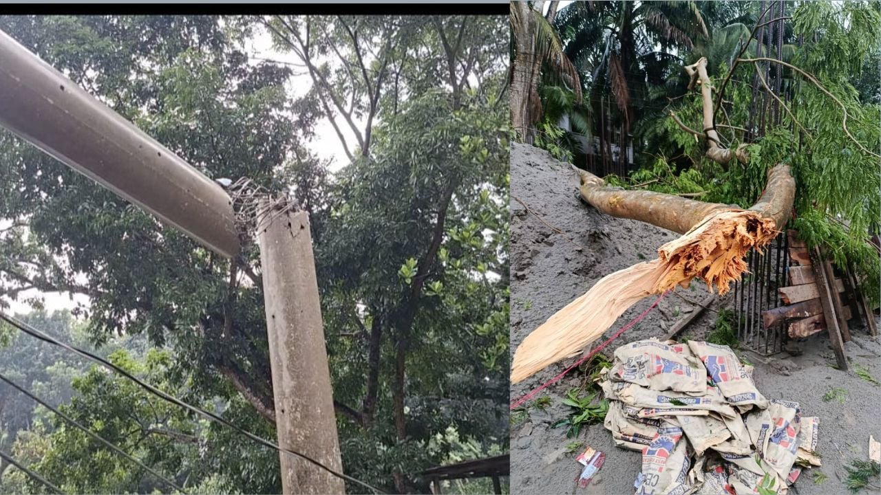 ভাঙ্গায় কালবৈশাখীর ঝড়-বৃষ্টিতে ফসলের ব্যাপক ক্ষতি