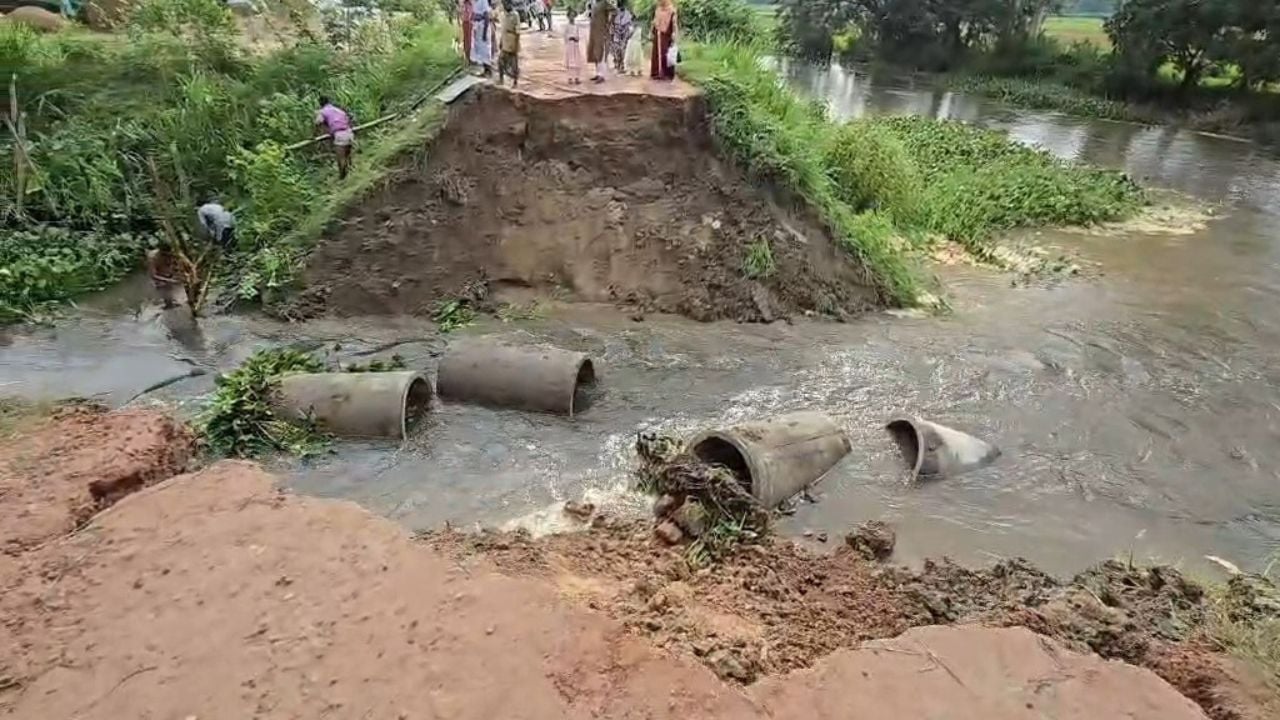 নবীনগরে বৃষ্টির পানির চাপে আঞ্চলিক সড়ক ভেঙে যোগাযোগ বিচ্ছিন্ন