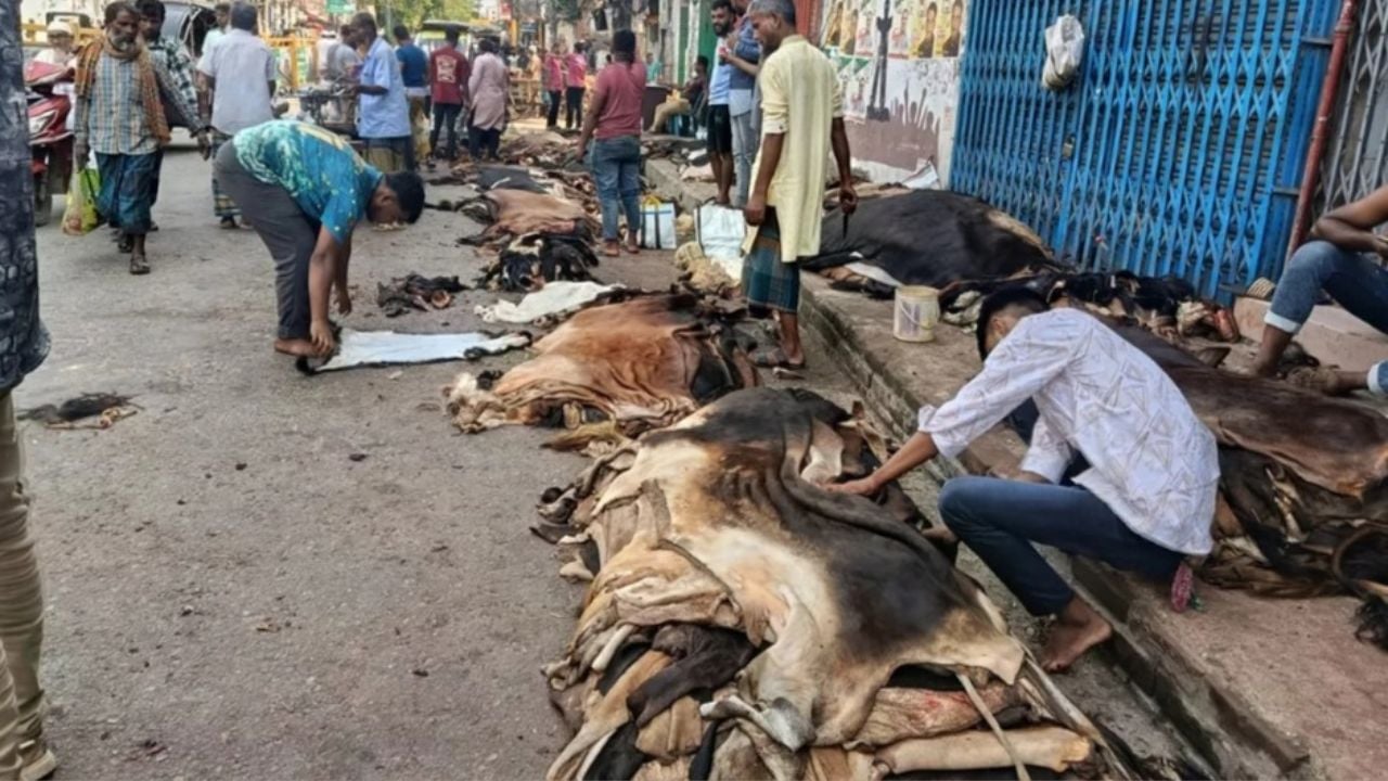 বগুড়ায় চামড়ার বাজারে ধস, বিপাকে মৌসুমি ব্যবসায়ীরা