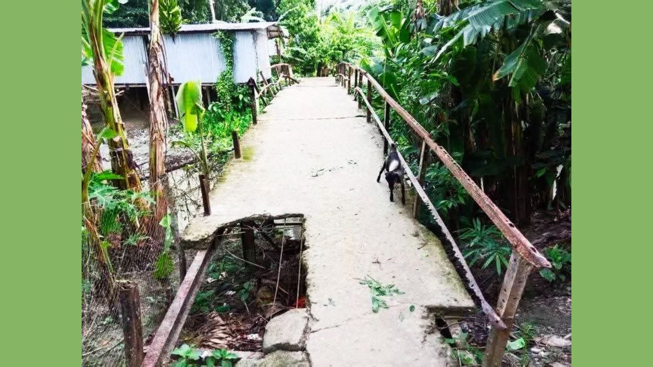 বাবুগঞ্জের লোহালিয়া–সিংহেরকাঠী সংযোগ ব্রিজের বেহাল দশা
