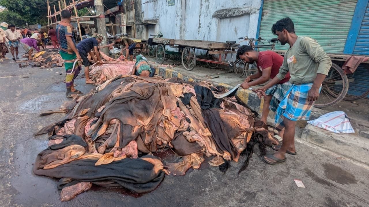 চট্টগ্রামে এবারো চামড়া কিনে লোকশানে মৌসুমি ব্যবসায়ীরা