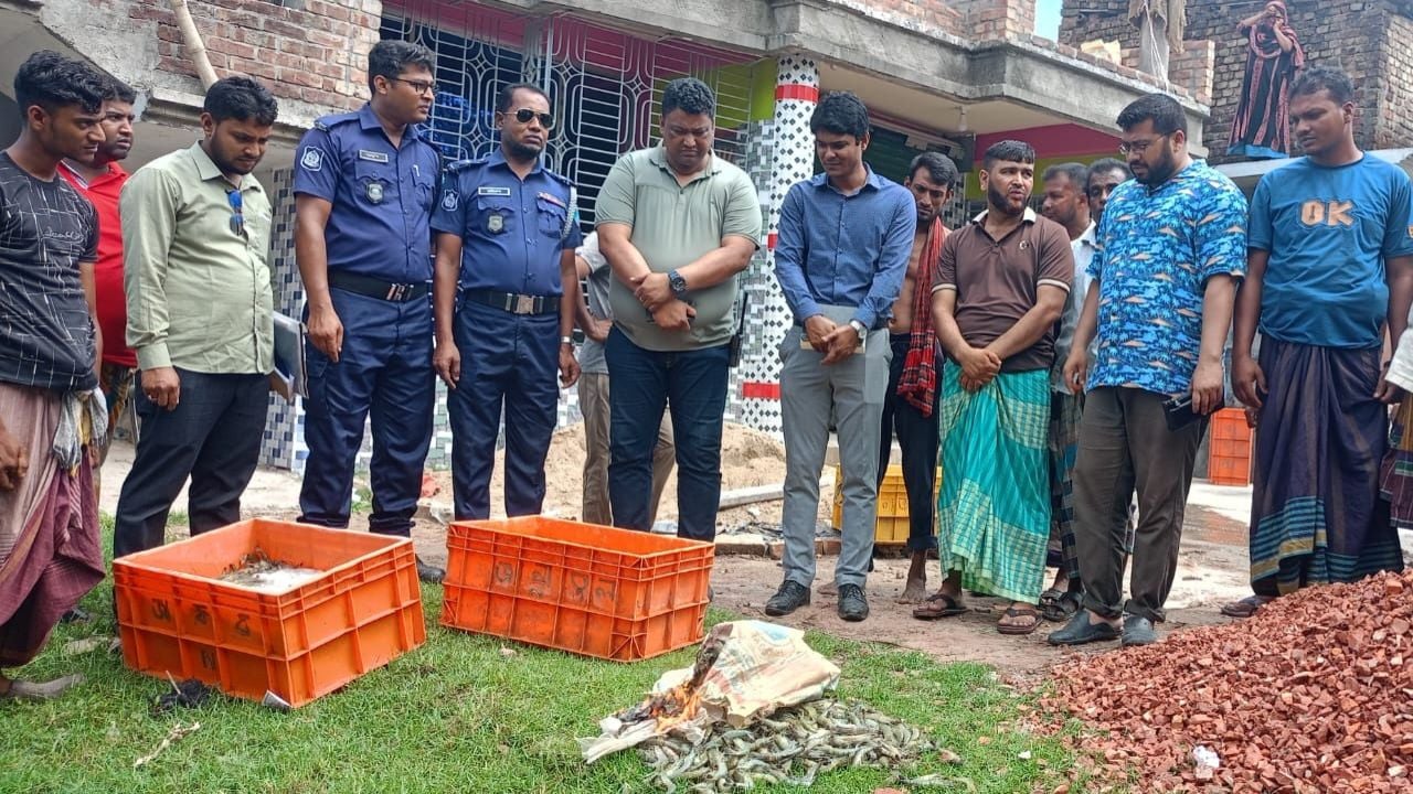 শ্যামনগরে চিংড়িতে অপদ্রব্য পুশ, জরিমানা ৫০ হাজার