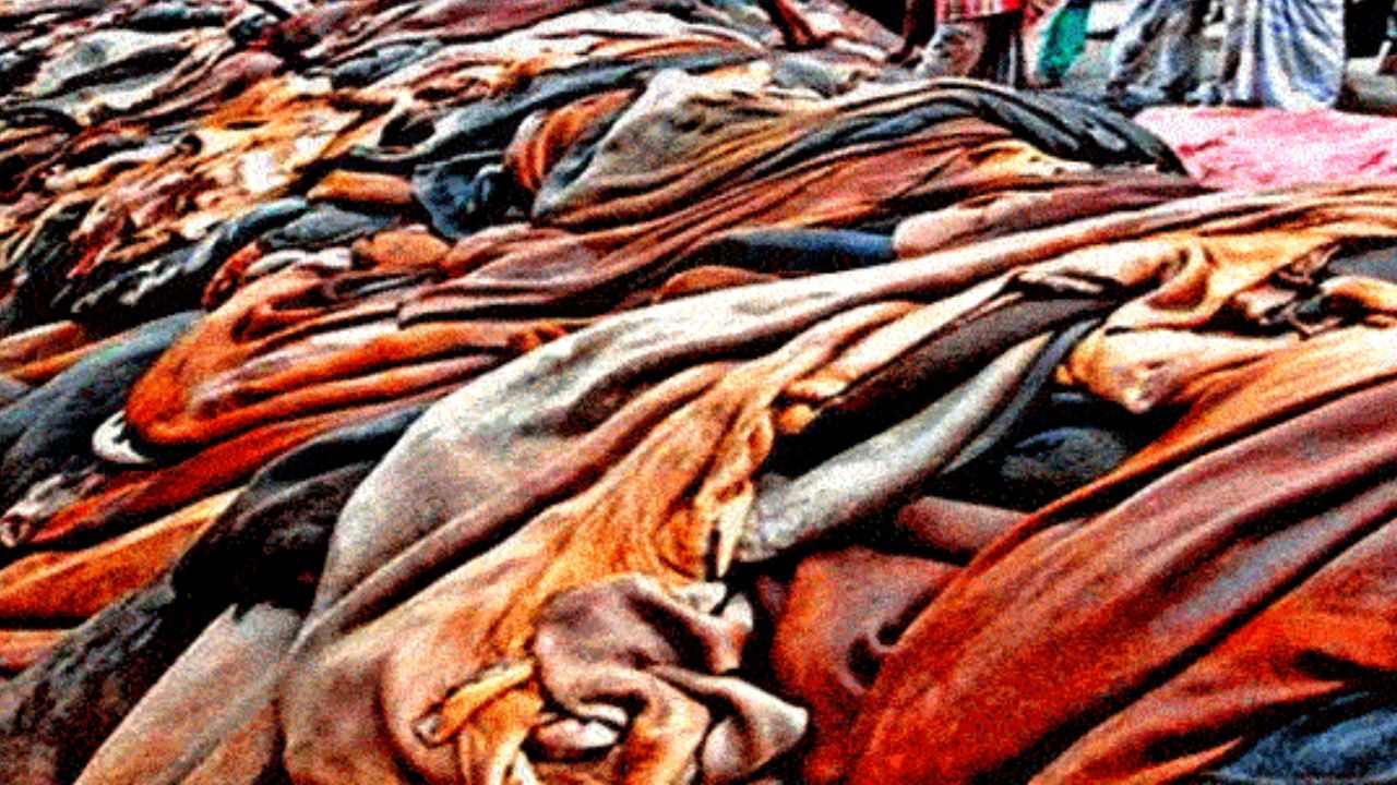 চট্টগ্রামে এবারো চামড়া কিনে লোকসানে মৌসুমি ব্যবসায়ীরা