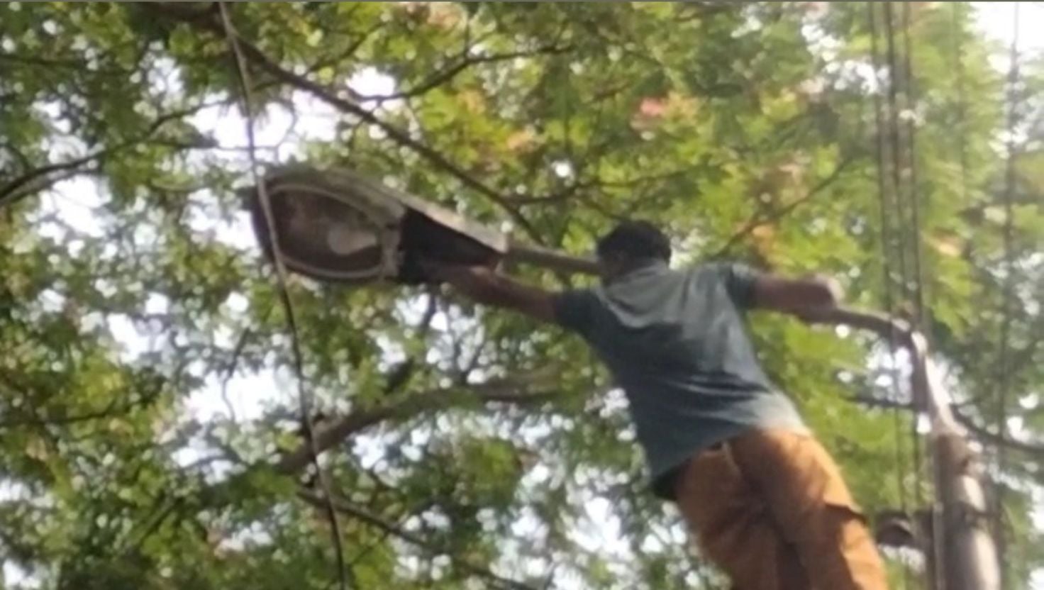 বিরল দৃষ্টান্ত: পাখির প্রাণ বাঁচাতে...