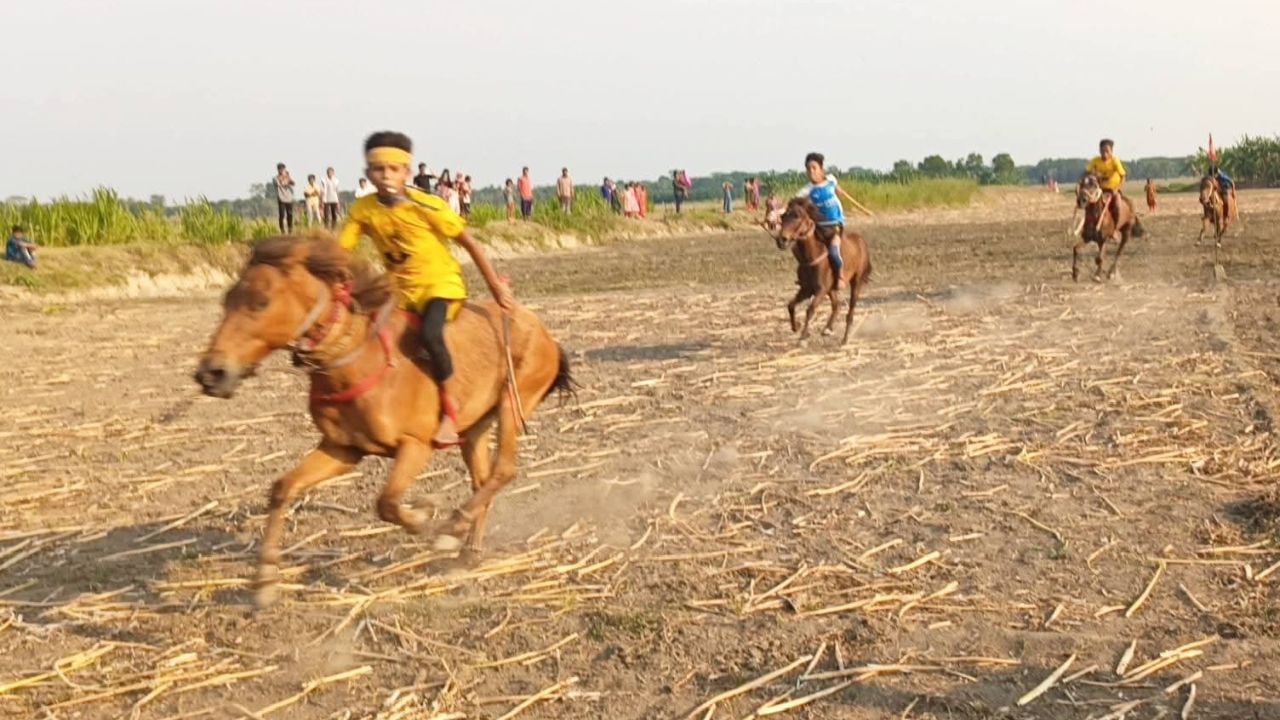 সালথায় ঐতিহ্যবাহী ঘোড়দৌড় প্রতিযোগিতা