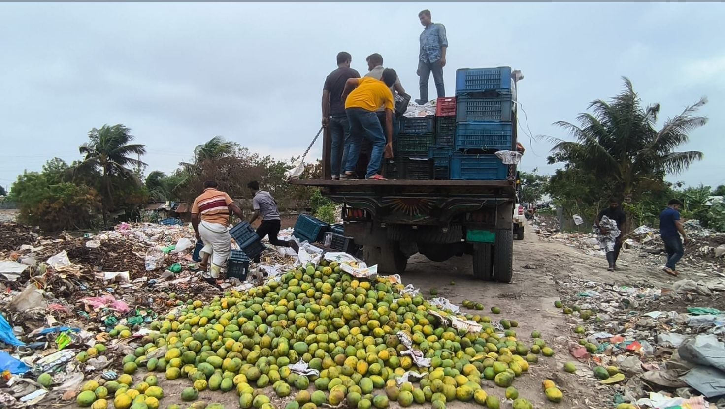 কেমিক্যাল দিয়ে পাকানো ৯ হাজার কেজি আম জব্দ