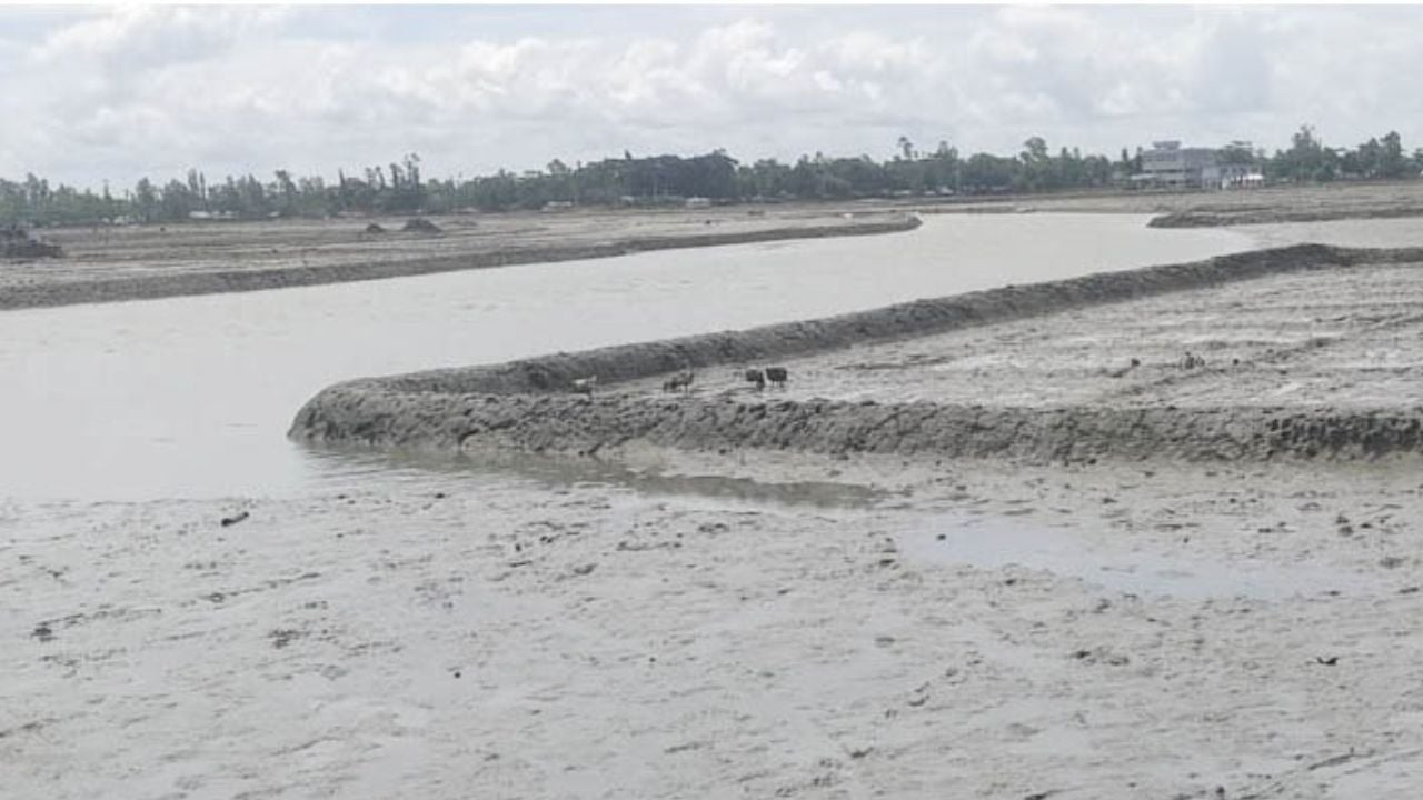কুতুবদিয়ায় দখল আর ভরাটে ৪ মরা খাল