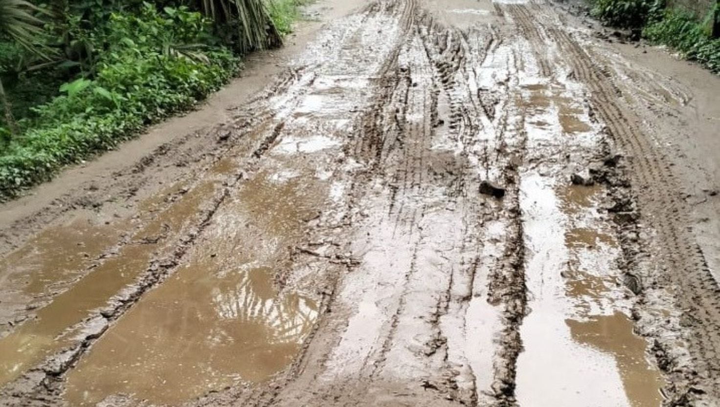 শ্রীপুরে আধা কিলোমিটার সড়কের বেহাল দশা, দুর্ভোগে হাজারো মানুষ