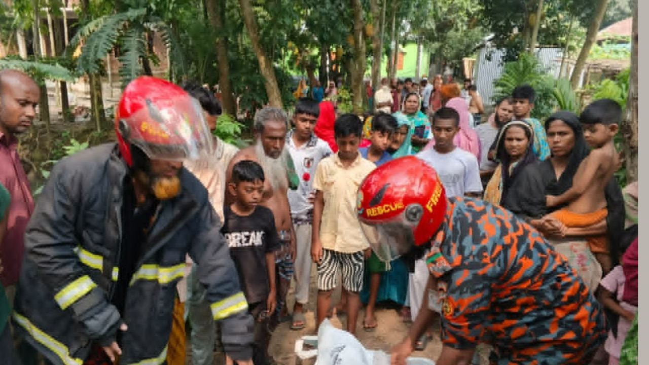 সরিষাবাড়ীতে ডোবার পানিতে পড়ে ভ্যানচালকের মৃত্যু