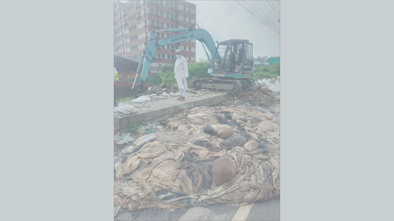 ফতুল্লায় ফেলে রাখা পশুর সহস্রাধিক চামড়া অপসারণ